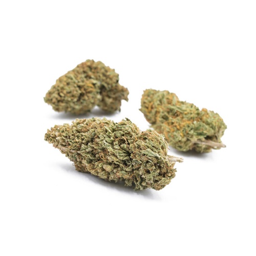 Got Hemp 2 - CBD Store - Hawaiian Haze CBD Flower