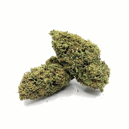 Got Hemp 2 - CBD Store - Hempress CBD Flower